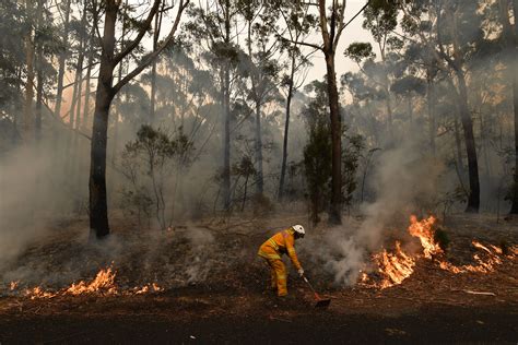 bushfires qld